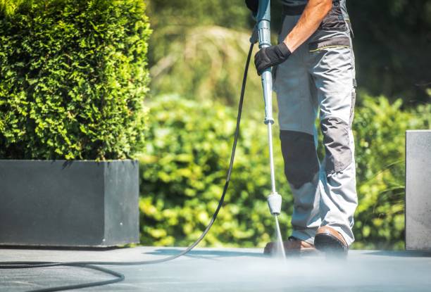  Langley Park, MD Pressure Washing Pros
